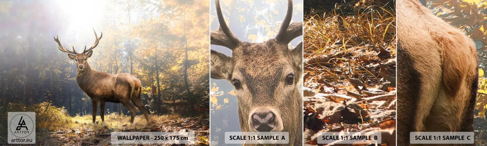 Fototapet Prøve Standard Eco - I fuld majestæt - Landskab, Hjort, Skov - 100x30 cm