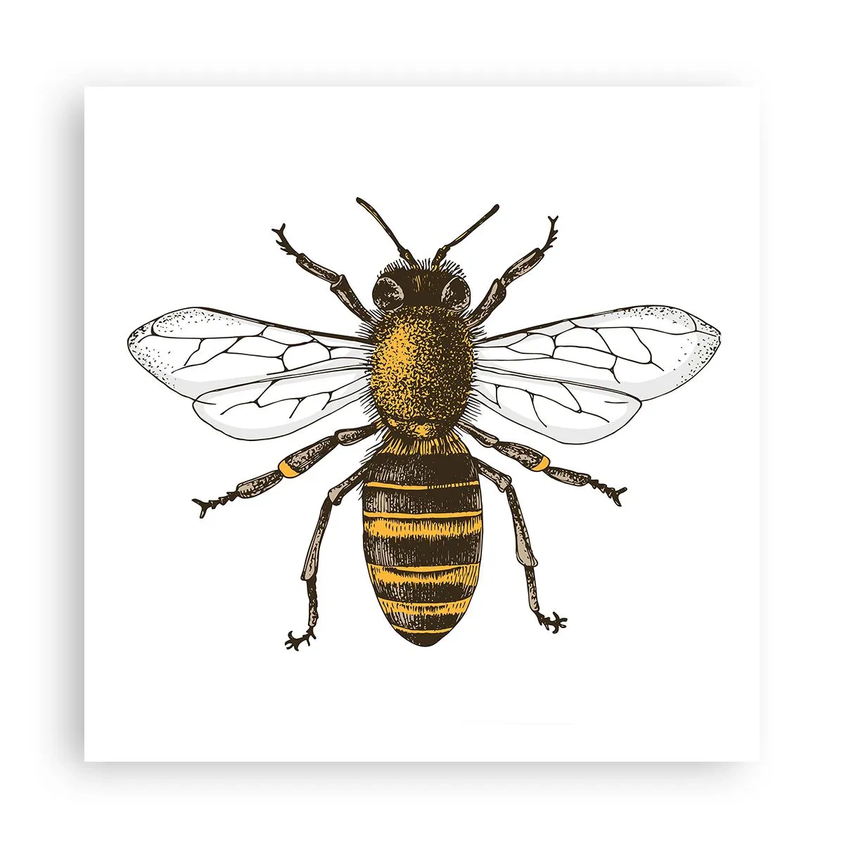 Plakat - Smuk og god - 60x60 cm