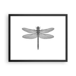 Plakat i sort ramme - Præcision i naturen - 50x40 cm