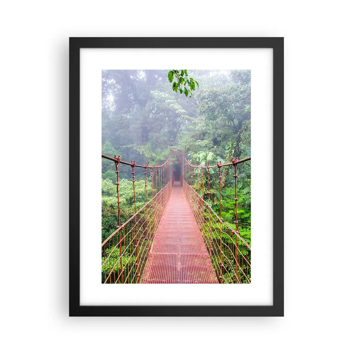 Plakat i sort ramme - Ophængt over kronerne - 30x40 cm