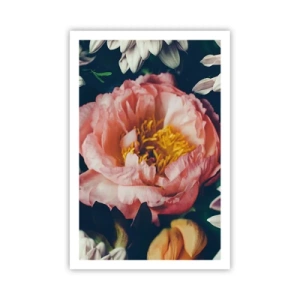 Plakat - Med barok pragt - 61x91 cm