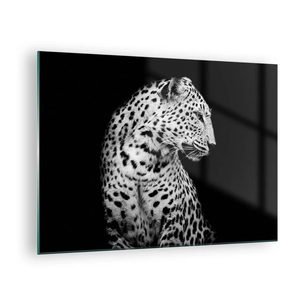 Billede på glas - En leopard i sort-hvidt lys mod et vindue - 70x50cm - Den rigtige profil er perfekt! - Moderne vægdekoration til stue og soveværelse ARTTOR
