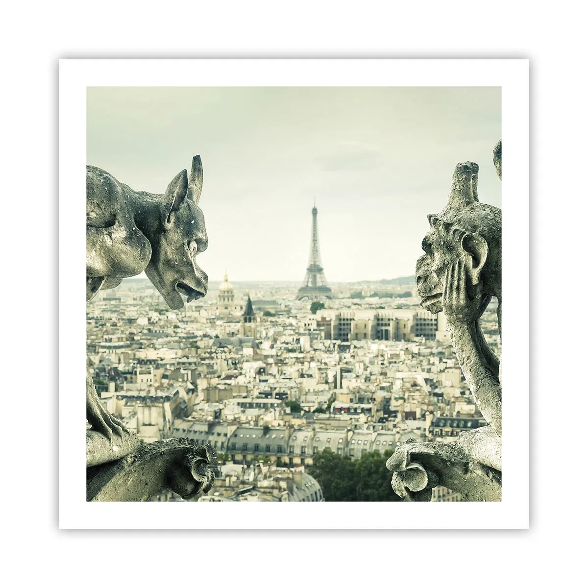Plakat - Parisisk chat - 60x60 cm