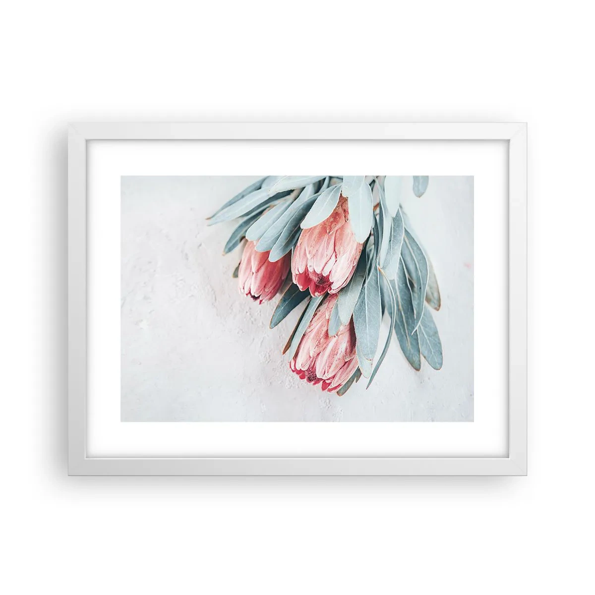 Plakat i hvid ramme - Skammer sig over deres egen skønhed - 40x30 cm