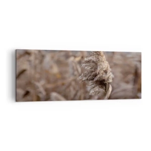 Lærredstryk - Billede på lærred - Tid til at flyve væk med vinden - 140x50 cm