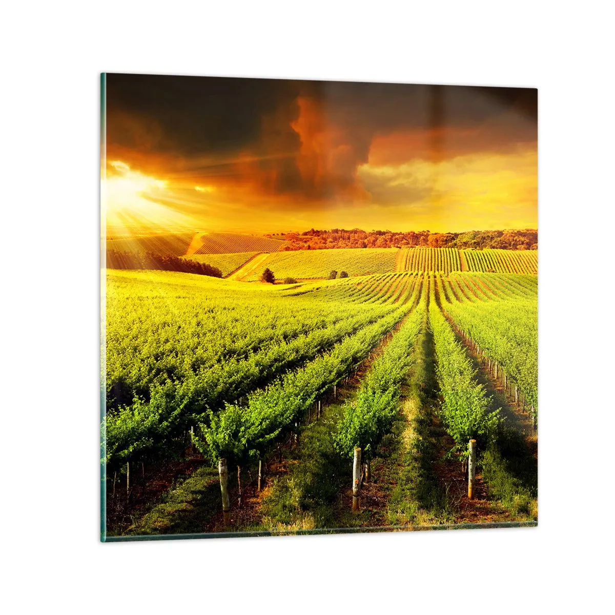 Billede på glas - Under den australske sol - 30x30 cm