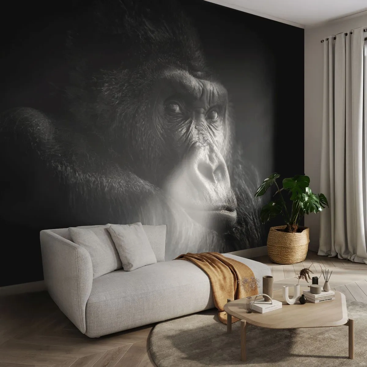 Fototapet Selvklæbende Deluxe Sticker - Og hvad kigger du på? - Abe, Gorilla, Dyr - 250x175 cm