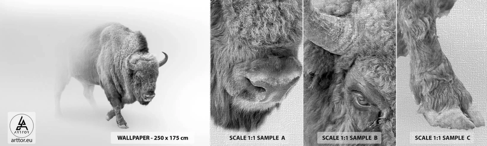 Prøve Fototapet Premium Canvas - Kongen af prærien - Wisent, Dyr, Bison - 100x30 cm