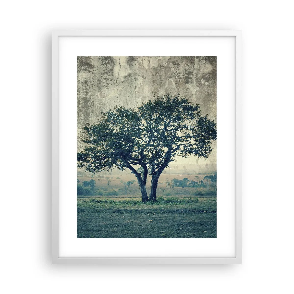 Plakat i hvid ramme - Et æbletræ på en blå membran? - 40x50 cm