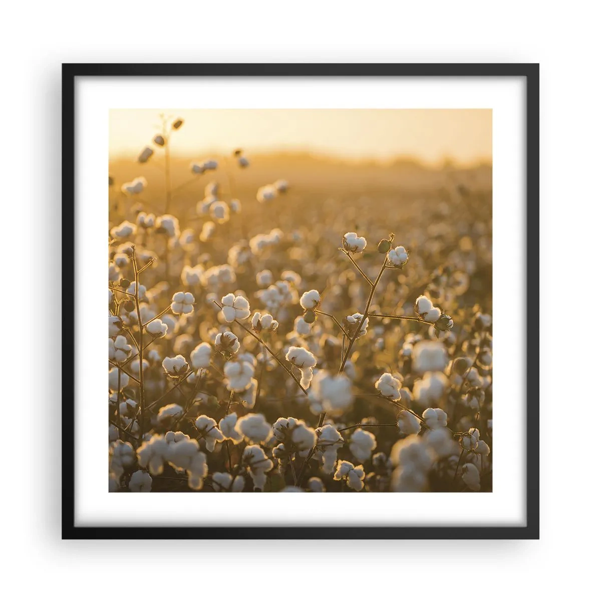 Plakat i sort ramme - Et luftigt felt - 50x50 cm