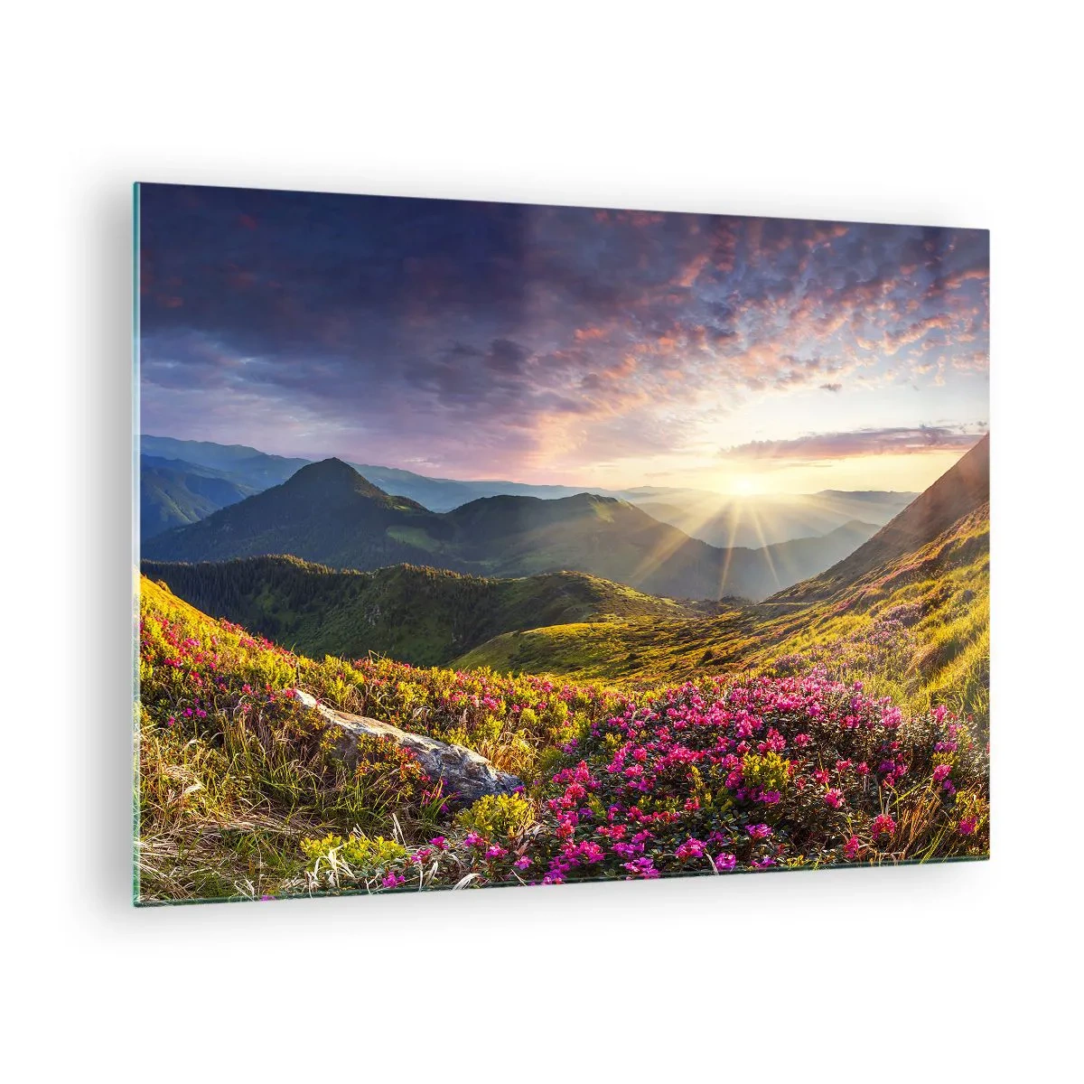 Billede på glas - Bjerglandskab ved solopgang med blomstrende blomster - 70x50cm - Friskheden af en morgen i bjergene - Moderne vægdekoration til stue og soveværelse ARTTOR