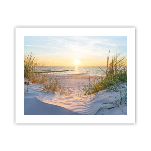 Plakat - Havet brummer, fuglene synger, en vild strand midt i græsset.... - 50x40 cm