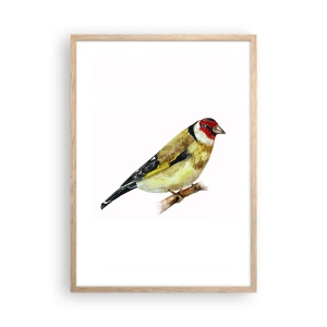 Plakat i ramme af lyst egetræ - Portræt af en fugl - 50x70 cm