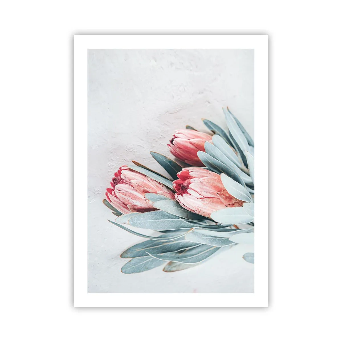 Plakat - Skammer sig over deres egen skønhed - 50x70 cm