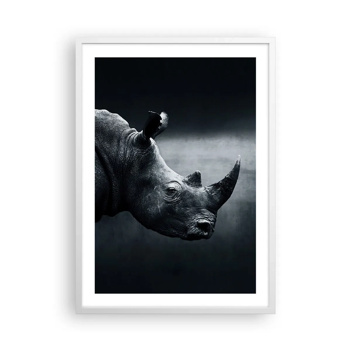 Plakat i hvid ramme - Højre profil - 50x70 cm