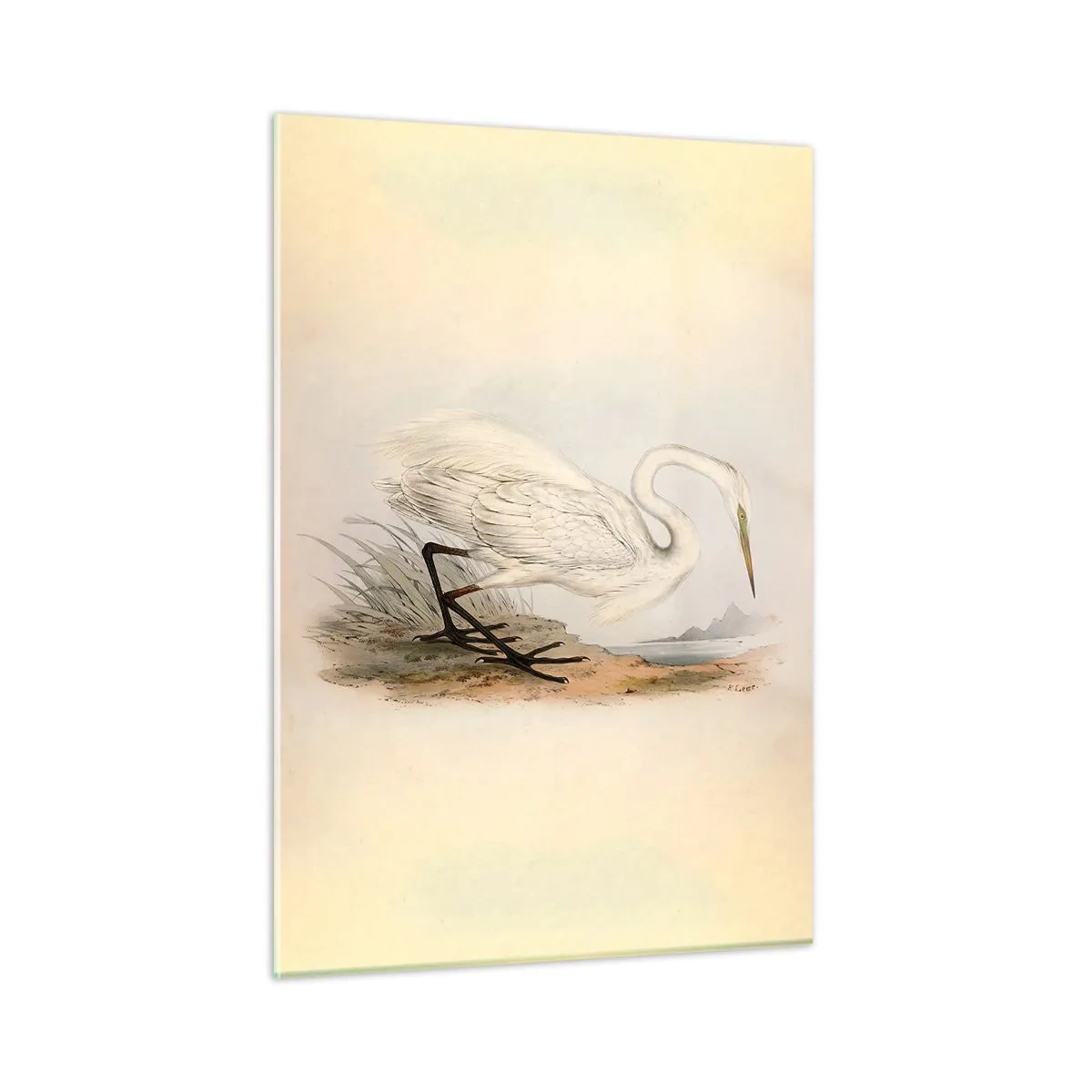 Billede på glas - Dame på sivene - 50x70 cm