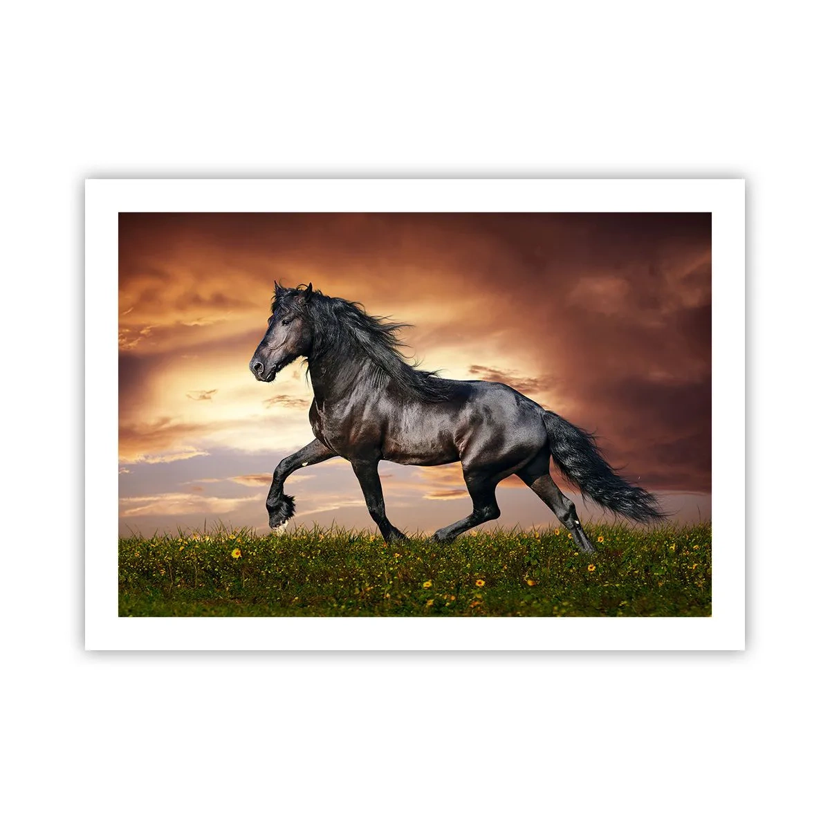 Plakat - Sort prins - 70x50 cm