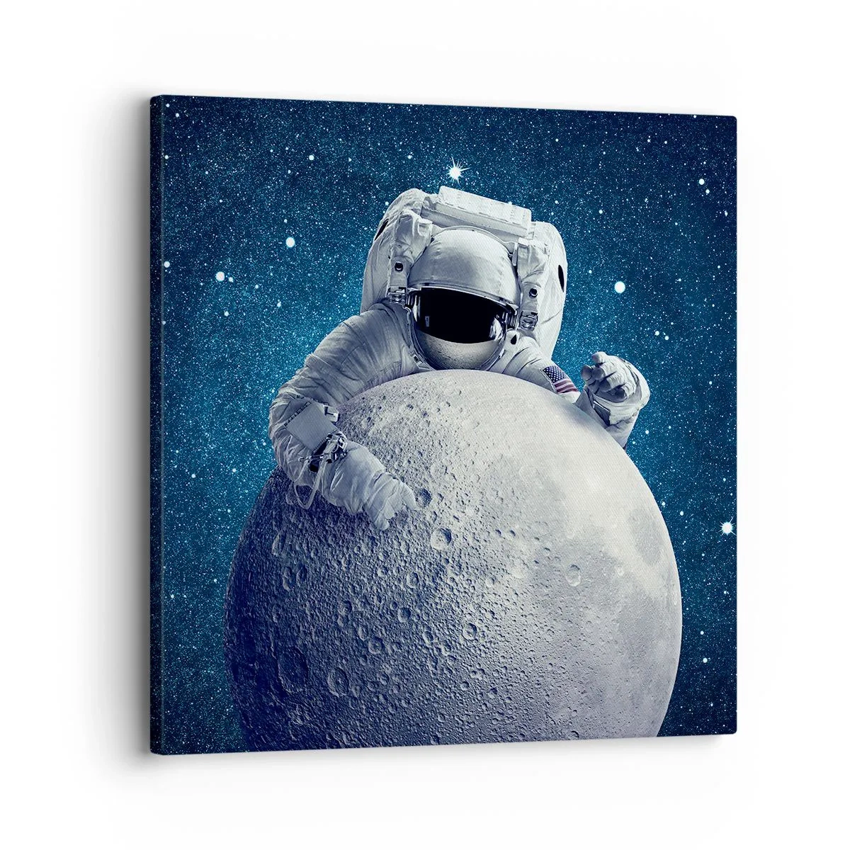 Lærredstryk - Billede på lærred - Kosmisk spøgefugl - 30x30 cm
