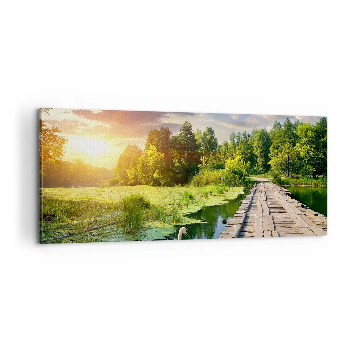 Lærredstryk - Billede på lærred - Sommer, sommer overalt - 100x40 cm