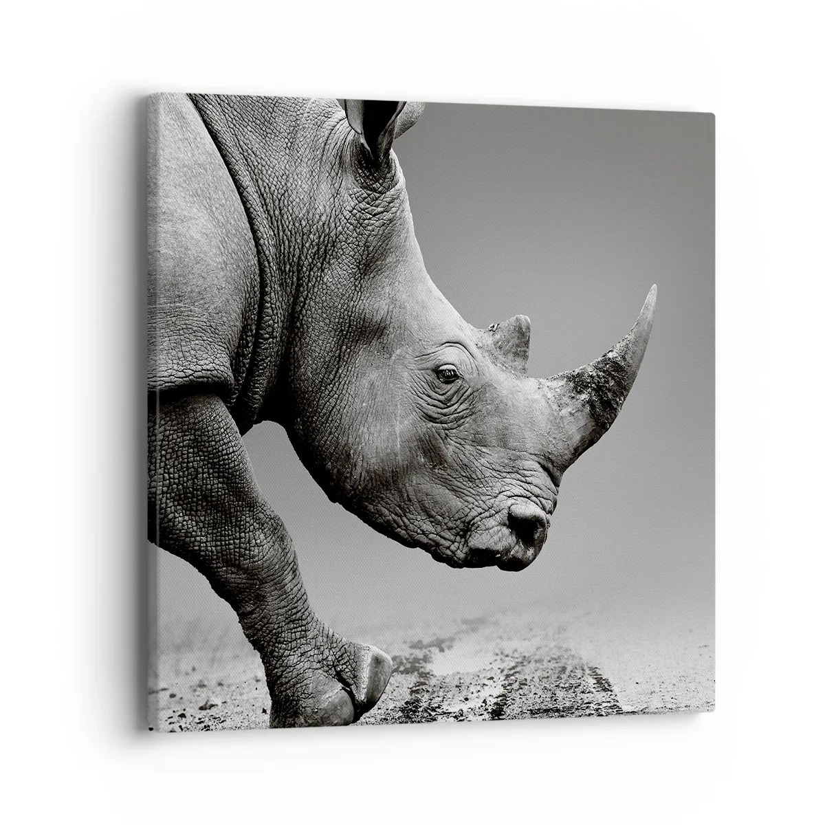 Lærredstryk - Billede på lærred - En ustoppeli - 40x40 cm