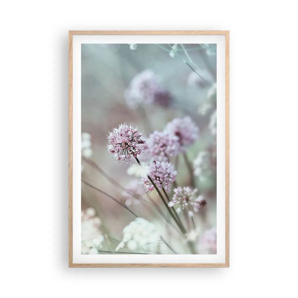 Plakat i ramme af lyst egetræ - Søde filigranurter - 61x91 cm