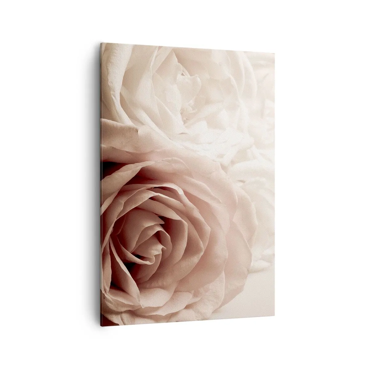 Lærredstryk - Billede på lærred - I rosens hjerte - 70x100 cm