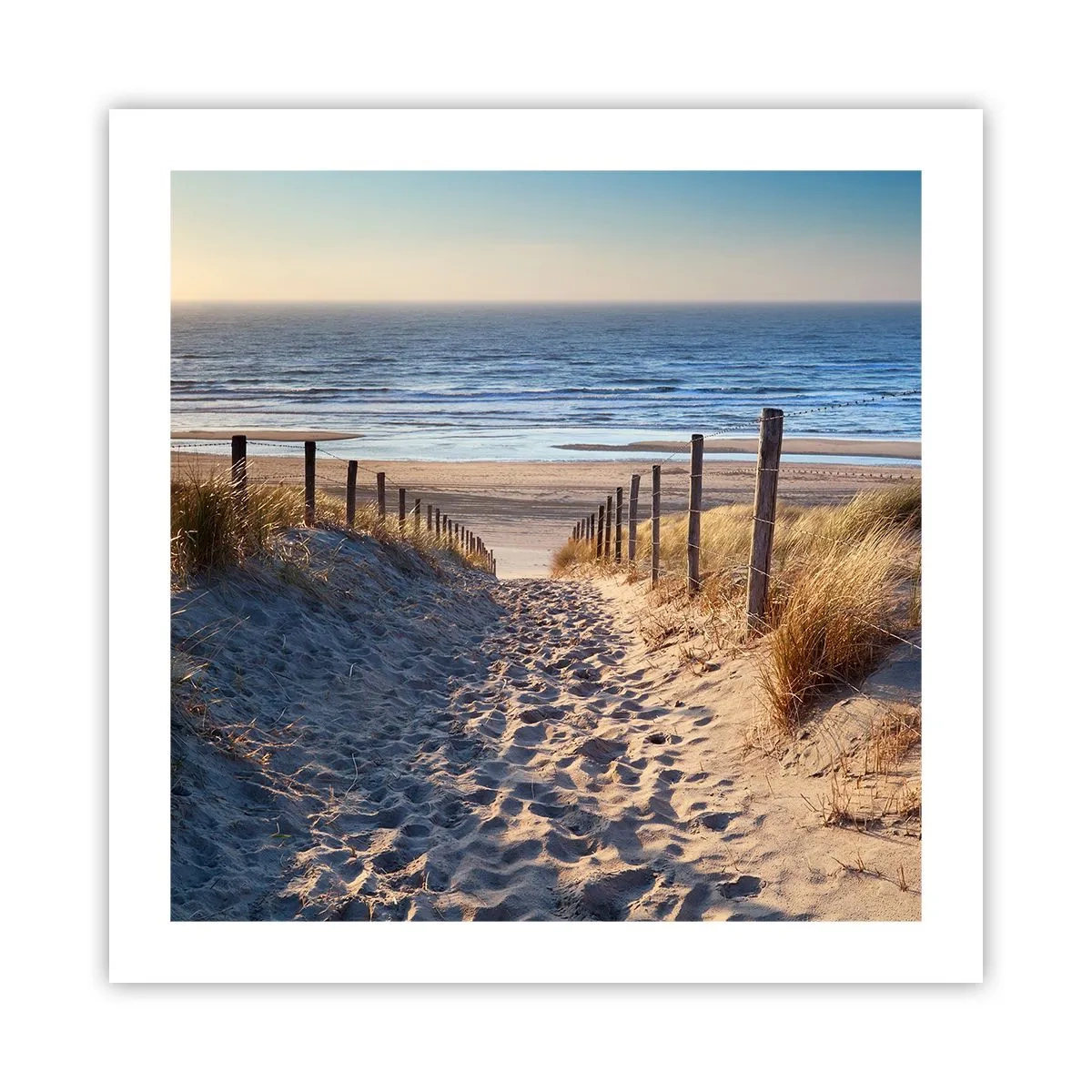 Plakat - Havet brummer, fuglene synger, en vild strand midt i græsset.... - 50x50 cm