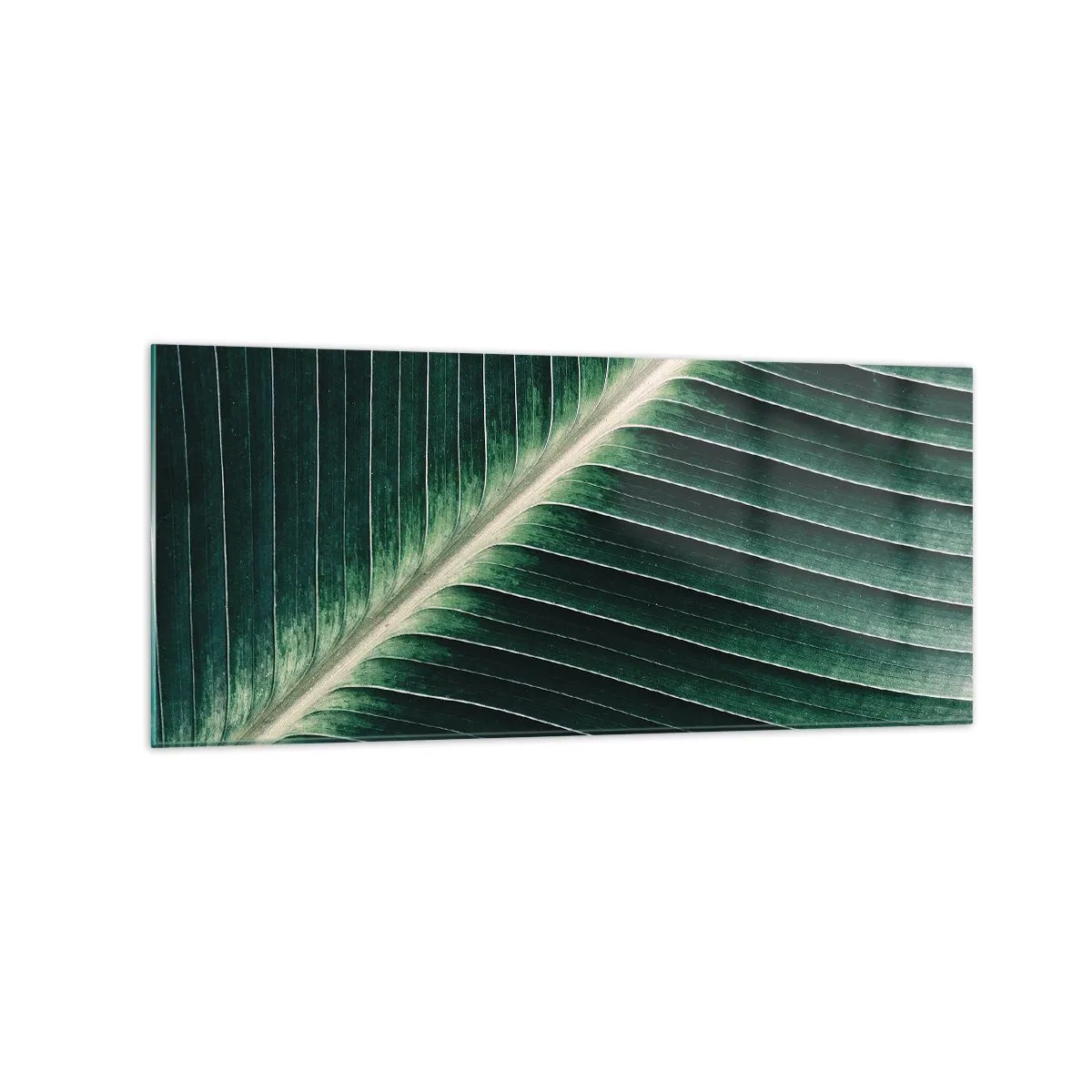Billede på glas - Naturens rytme - 120x50 cm