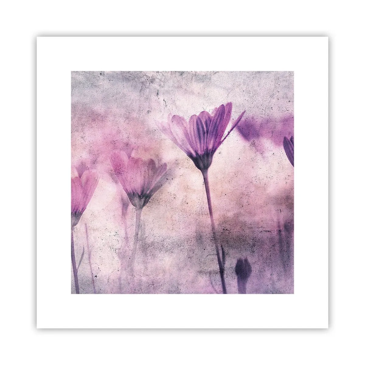 Plakat - En drøm af blomster - 30x30 cm