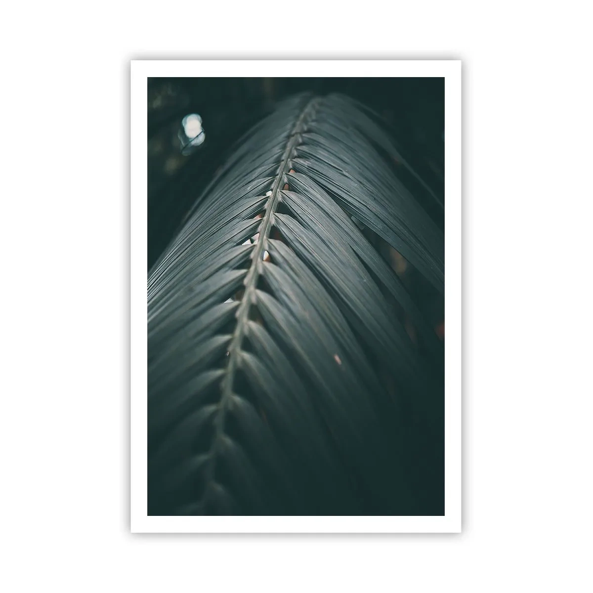 Plakat - Naturens præcision - 70x100 cm