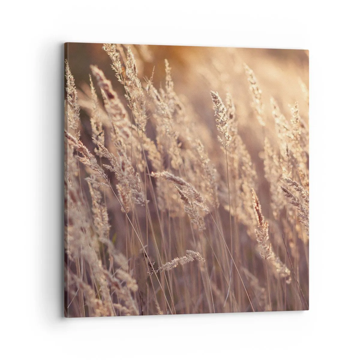 Lærredstryk - Billede på lærred - Klar til at byde efteråret velkommen - 70x70 cm