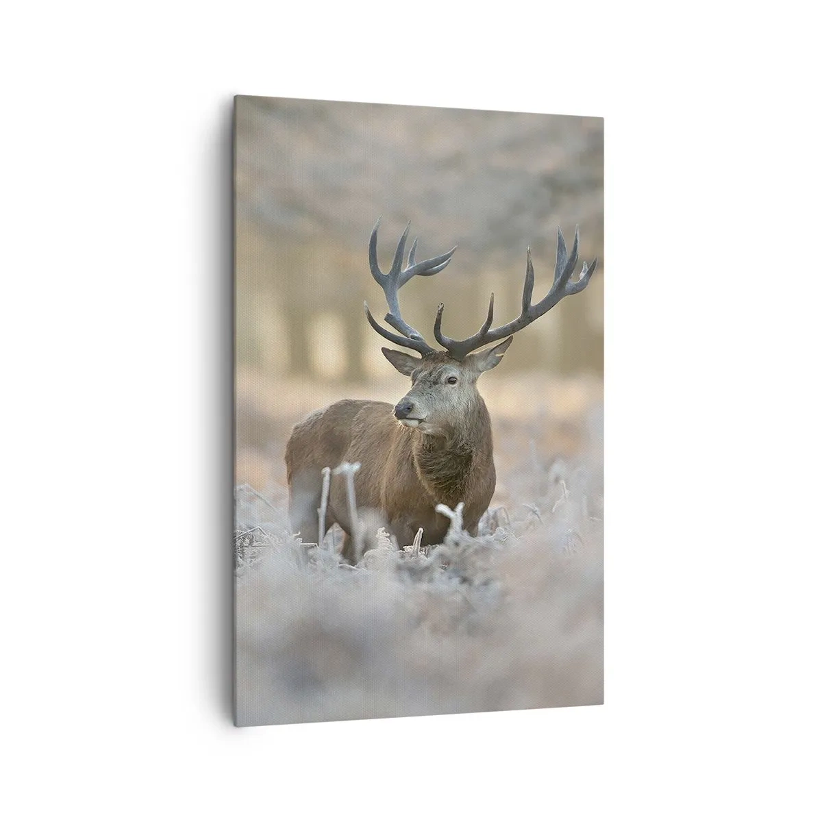 Lærredstryk - Billede på lærred - En frisk morgen - 80x120 cm