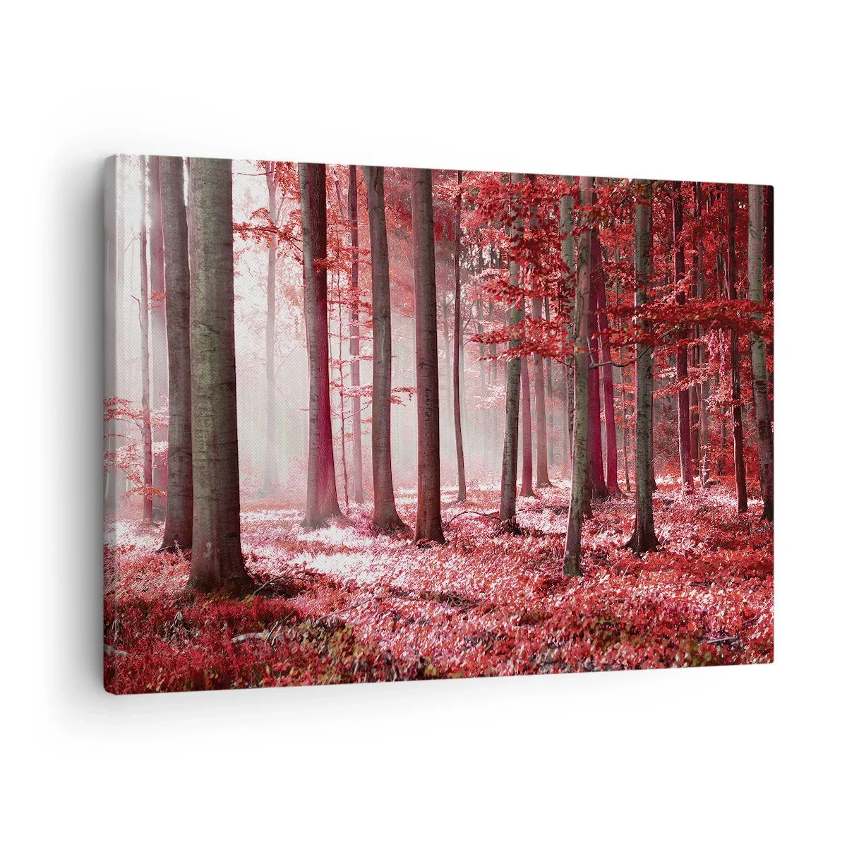 Lærredstryk - Billede på lærred - En fantastisk skov i røde nuancer med lysstråler, der trænger ind gennem træerne - 70x50cm - Rød er lige så smuk - Moderne vægdekoration til stue og soveværelse ARTTOR