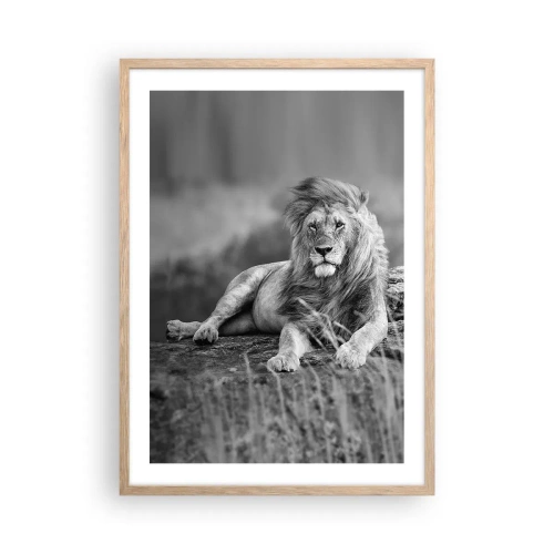 Plakat i ramme af lyst egetræ - Kongelig siesta - 50x70 cm