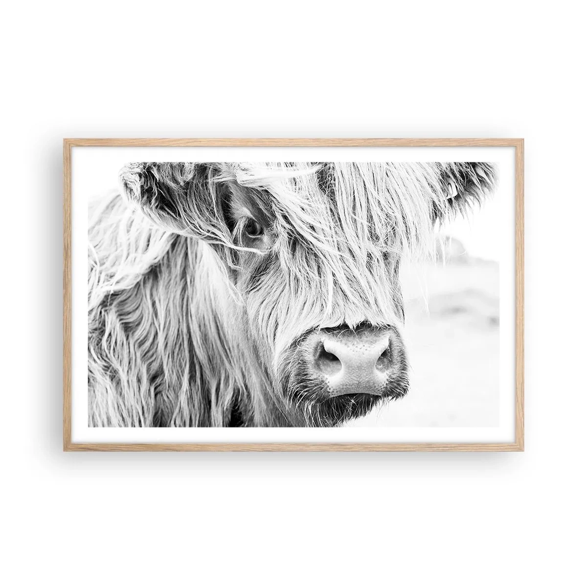 Plakat i ramme af lyst egetræ - Skotsk vildmark - 91x61 cm