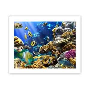 Plakat - Tung trafik på feriestien - 50x40 cm