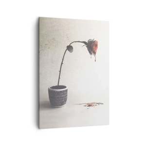 Lærredstryk - Billede på lærred - Rosa dolorosa - 50x70 cm