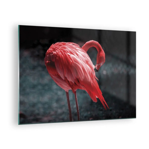 Billede på glas - En flamingo i intense røde nuancer på en mørk baggrund - 70x50cm - Et karmosinrødt naturdigt - Moderne vægdekoration til stue og soveværelse ARTTOR