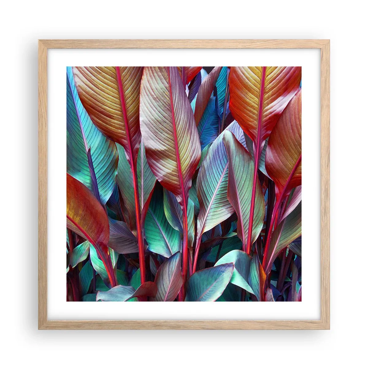 Plakat i ramme af lyst egetræ - Farverigt krat - 50x50 cm