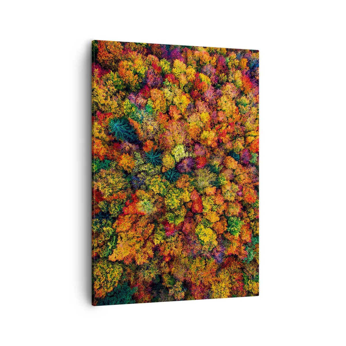Lærredstryk - Billede på lærred - Buket af efterårstræer - 50x70 cm