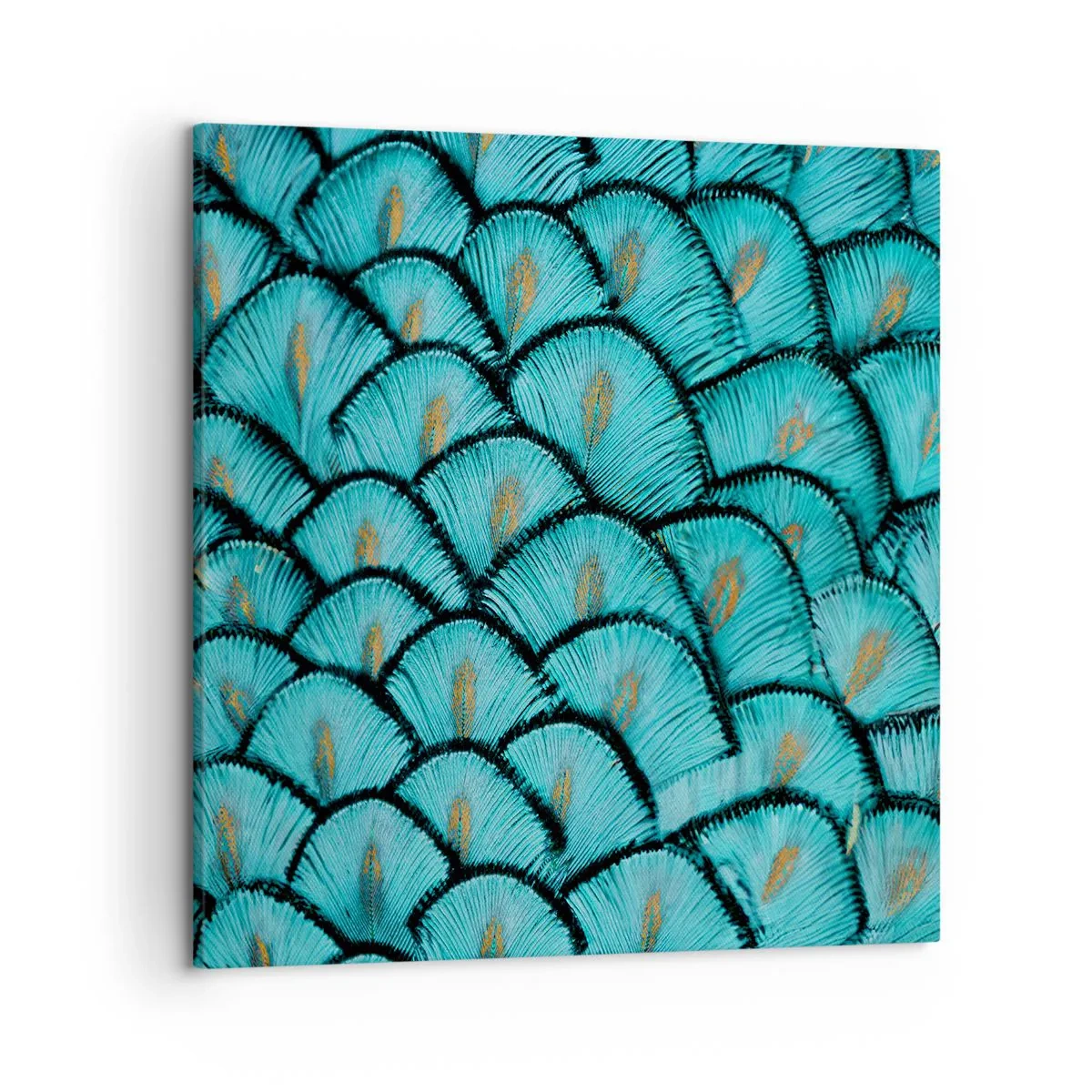 Lærredstryk - Billede på lærred - Den store fjer-galla - 50x50 cm