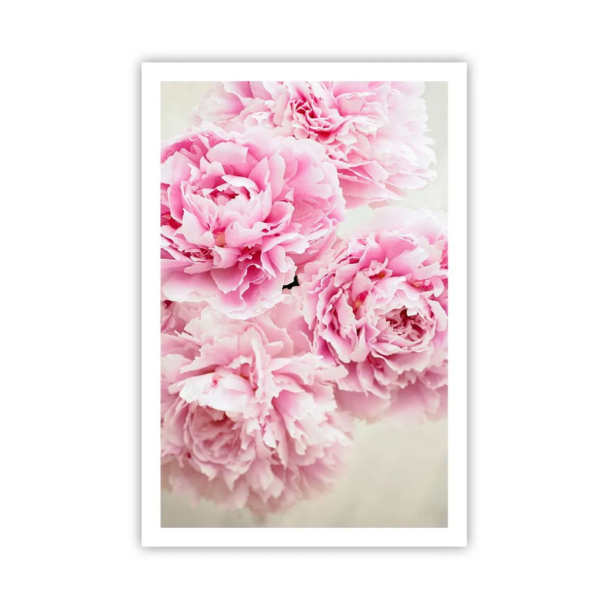 Plakat - I lyserød glamour - 61x91 cm