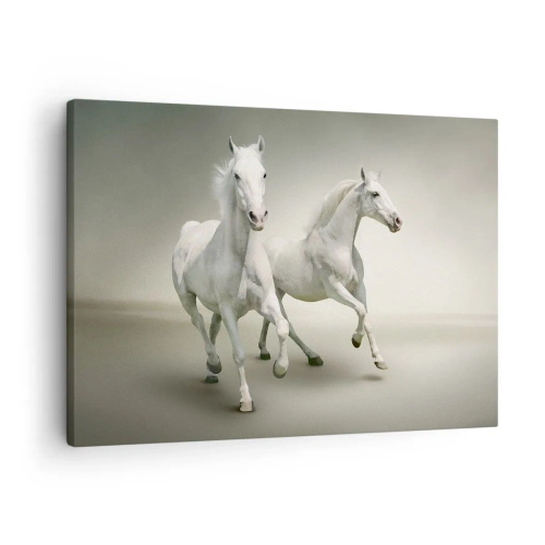 Lærredstryk - Billede på lærred - To hvide heste galoperer mod en lys baggrund - 70x50cm - White power! - Moderne vægdekoration til stue og soveværelse ARTTOR
