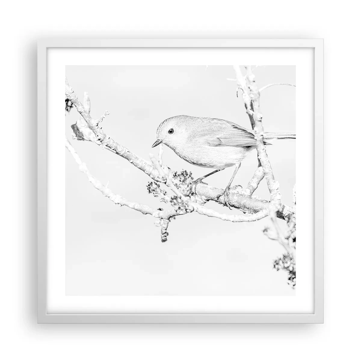 Plakat i hvid ramme - Vintermorgen - 50x50 cm