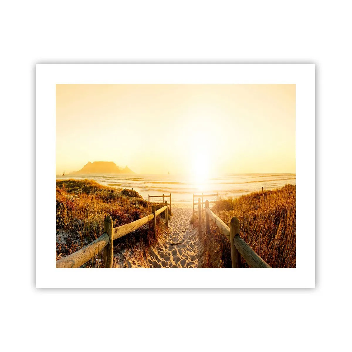 Plakat - Over klitten, mod solen - 50x40 cm