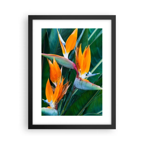 Plakat i sort ramme - Er det en blomst eller er det en fugl? - 30x40 cm