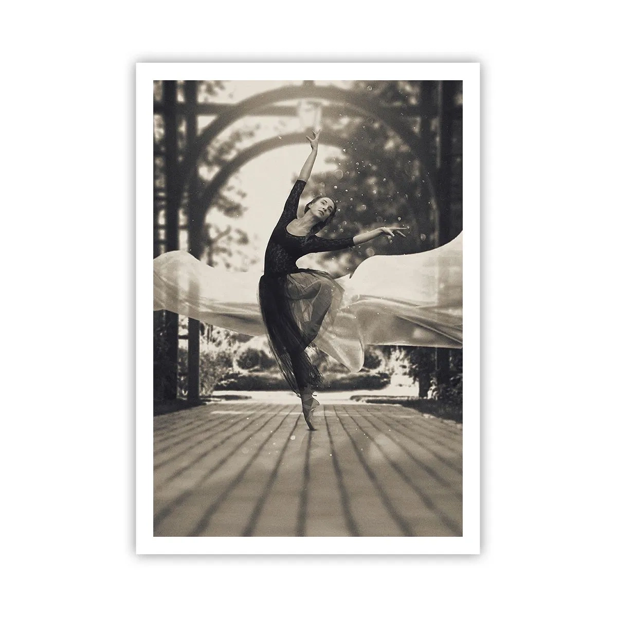 Plakat - Dans i haven - 70x100 cm