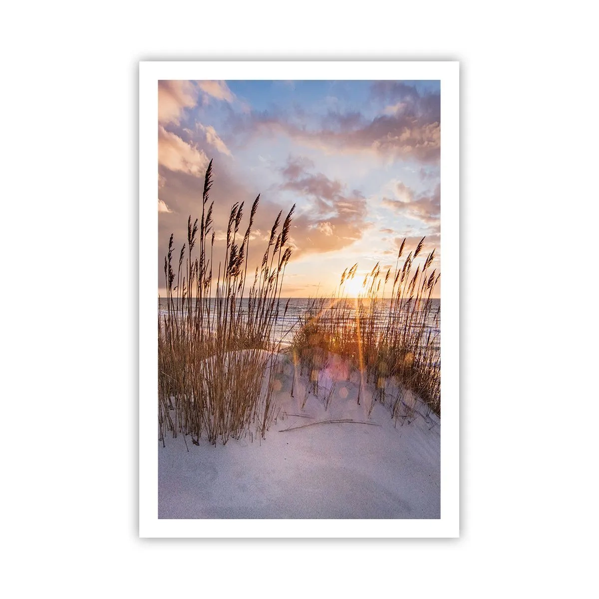 Plakat - Farvel til sol og vind - 61x91 cm