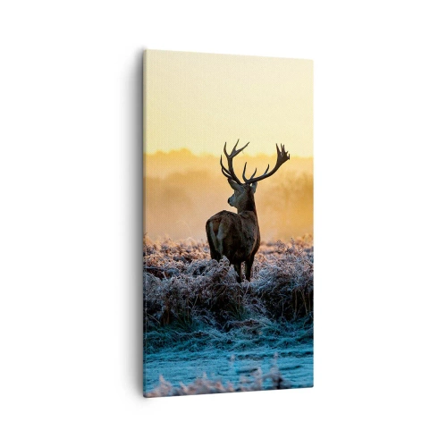 Lærredstryk - Billede på lærred - Kronet på sine godser - 55x100 cm