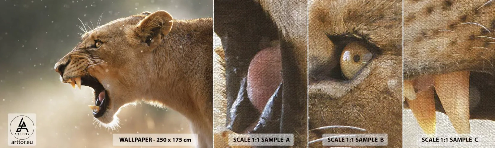 Prøve Fototapet Premium Canvas - Prøv ikke at lytte - Dyr, Løve, Afrika - 100x30 cm